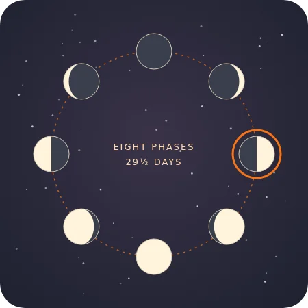 The eight phases of the Moon in a circle, from New Moon through First Quarter and Full Moon to Balsamic
